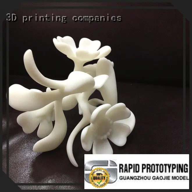 3d printing prototype service printing for industry Gaojie Model