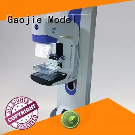 cnc plastic machining north lounge custom plastic fabrication Gaojie Model Warranty