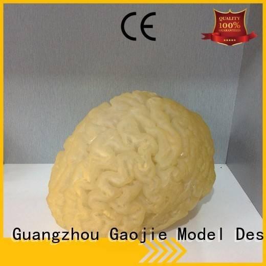 3d printing prototype service 3d 3d printing companies Gaojie Model