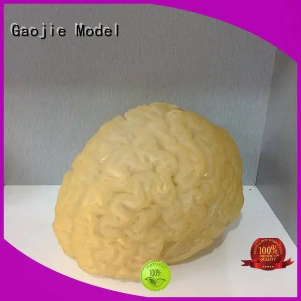 rapid sintering 3d printing prototype service Gaojie Model