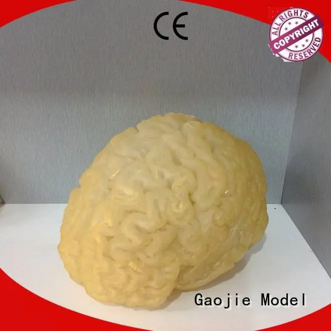 Gaojie Model Brand prototyping gifts 3d printing companies bowl rapid